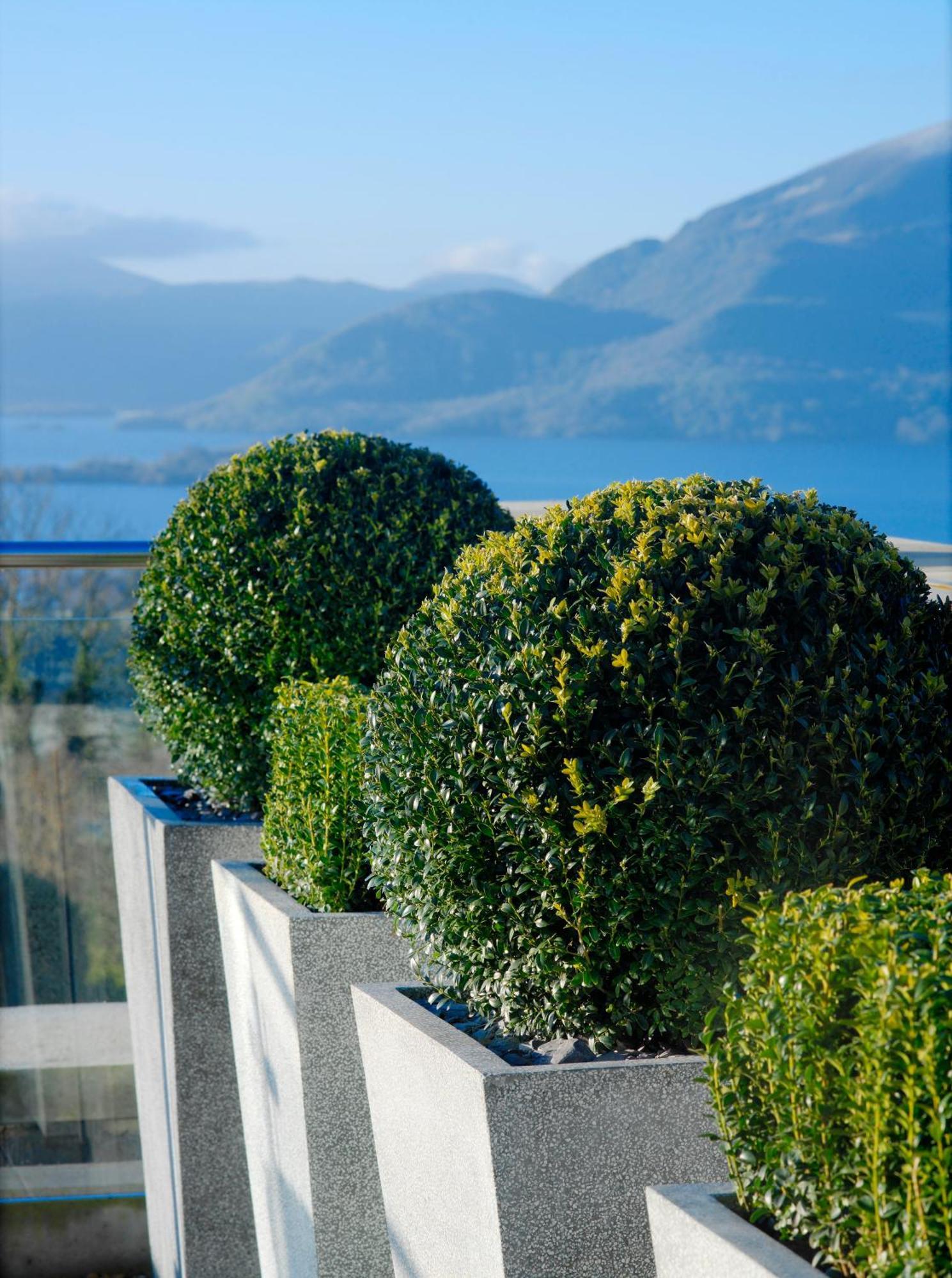 阿多伽海茨温泉酒店 基拉尼 外观 照片 Boxwood